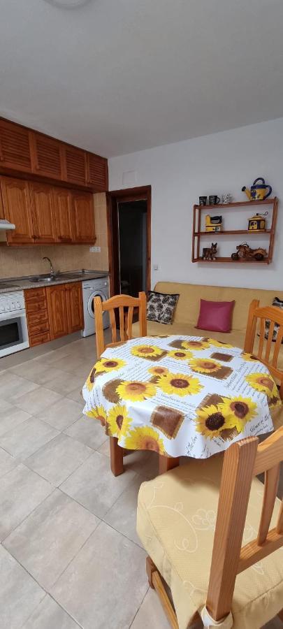 Alojamientos Momi 2 Corralejo Dış mekan fotoğraf